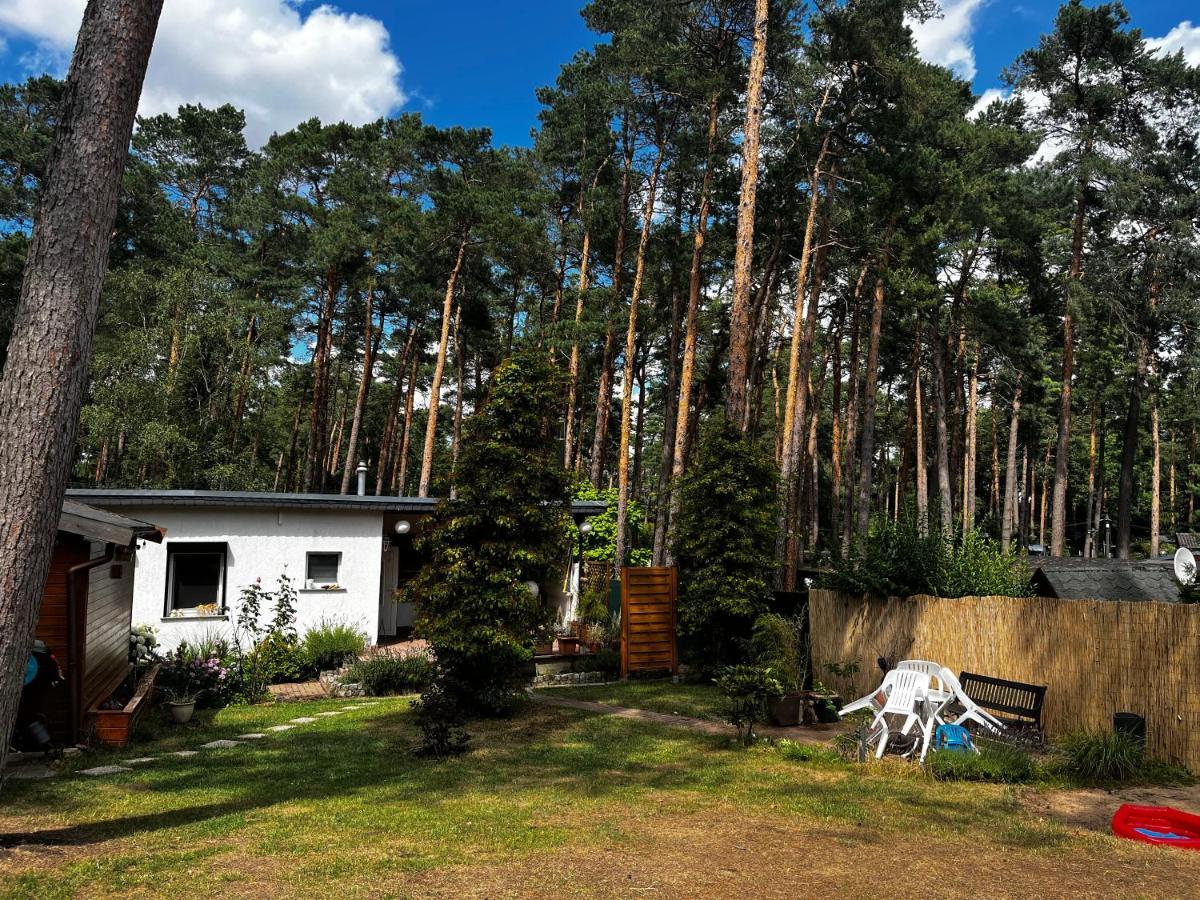 Villa Kiefernblick à Plotzky Extérieur photo
