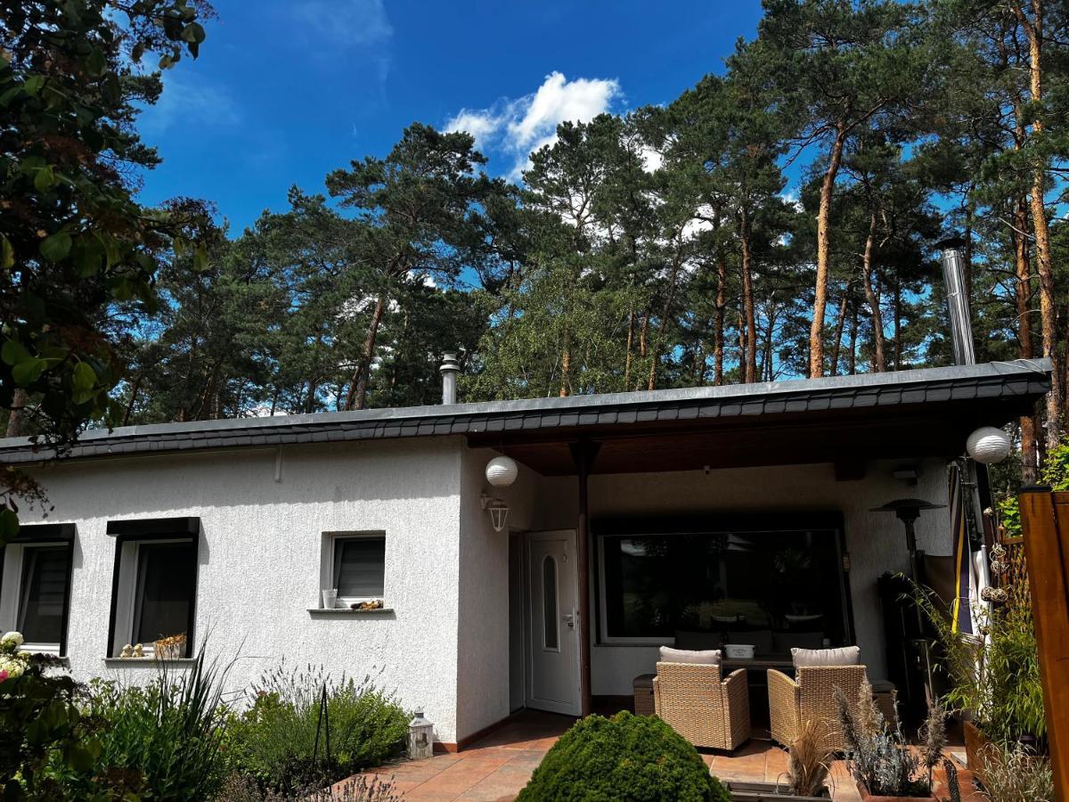 Villa Kiefernblick à Plotzky Extérieur photo